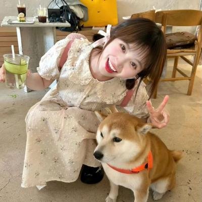 好莱坞芭比电影版
