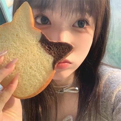 站立的动物故事