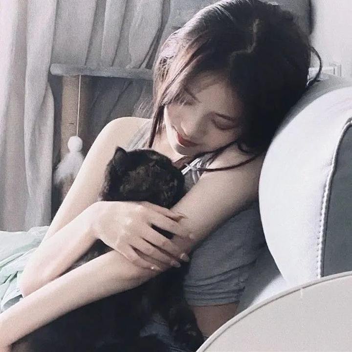 献给检察官的玫瑰花