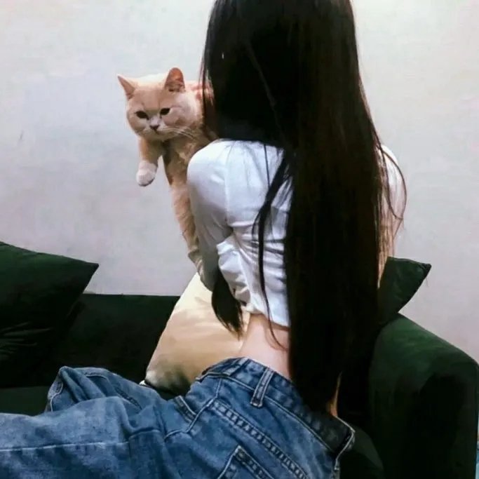 奇异贤伴黑色天使第二季